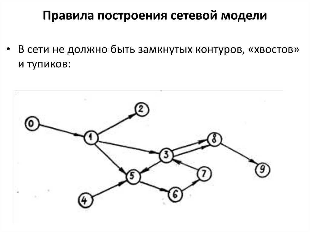 Сетевая модель проекта онлайн