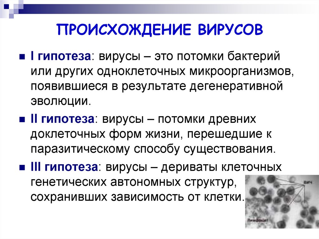 Каким путем происходит. Гипотезы происхождения вирусов. Происхождение вирусов. Теории происхождения вирусов. Теории возникновения вирусов.