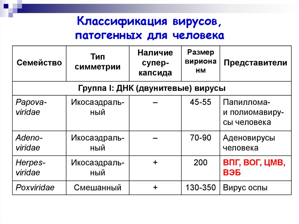 Группы патогенности. Классификация вирусов микробиология. Характеристика классификация строения вирусов. Классификация и основные свойства вирусов. Классификация вирусов по строению.