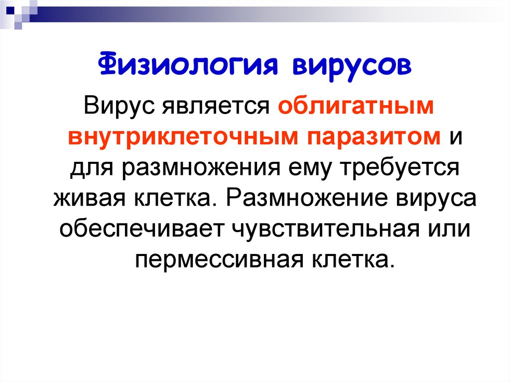 Вирусы являются. Физиология вирусов микробиология. Физиологические признаки вирусов. Морфология и физиология вирусов. Морфология и физиология вирусов микробиология.