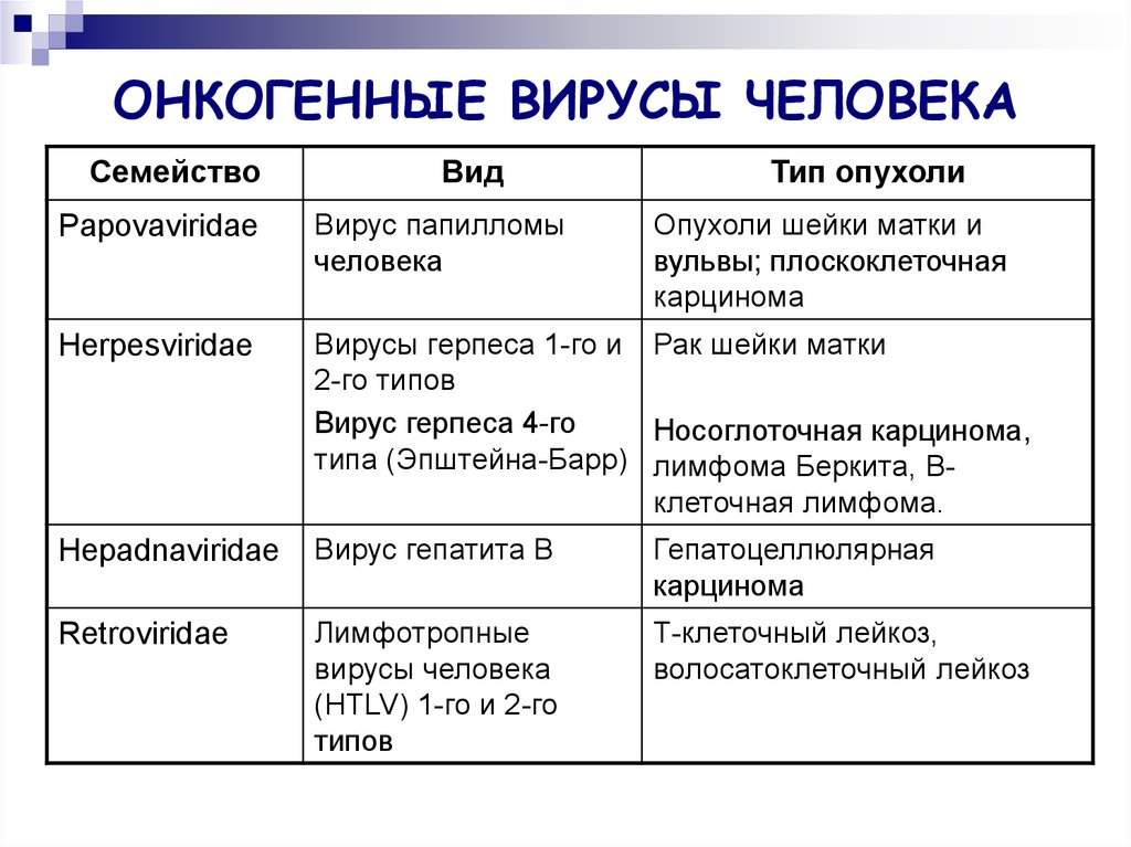 3 группы вирусов