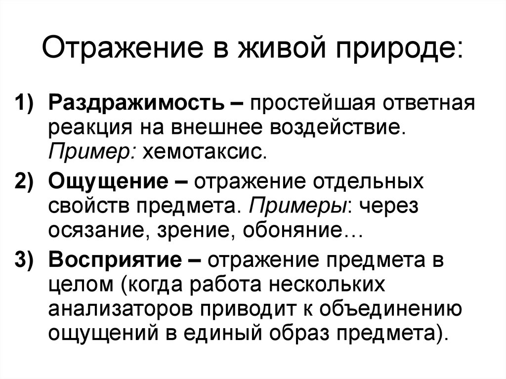 3 формы отражения. Отражение в живой природе. Отражение в живой природе примеры. Формы отражения в живой природе. Ступени отражения в живой природе.