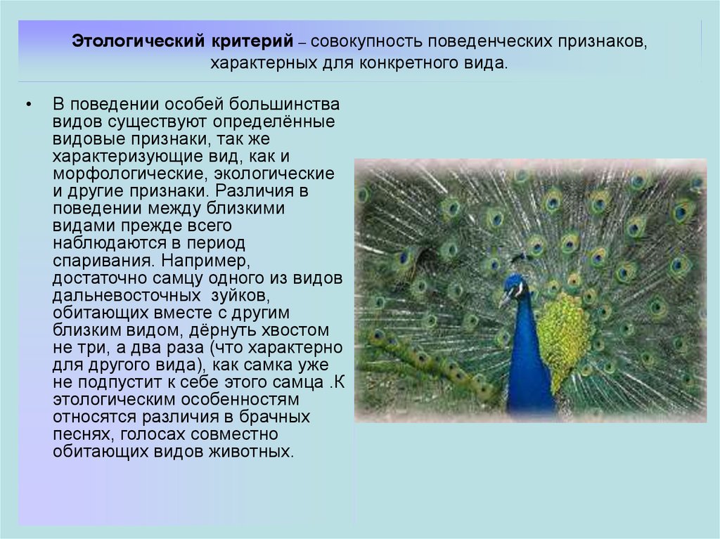 Особых критериев. Критерии вида биология этологический. Этологический критерий вида. Этолооический критерии. Этогологический критерий.