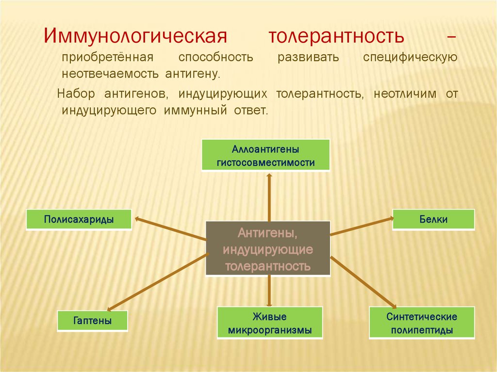 Приобретают возможность. Иммунологическая толерантность. Приобретенная иммунологическая толерантность. Формы иммунной толерантности. Толерантность к антигену.