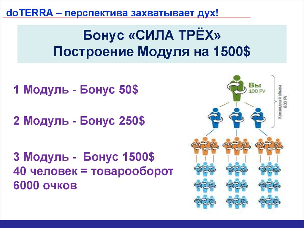 Сила трех слушать. Сила трех ДОТЕРРА условия. Бонус сила трех. Бонус сила 3-х ДОТЕРРА. Бонус силы трёх в доттерре.