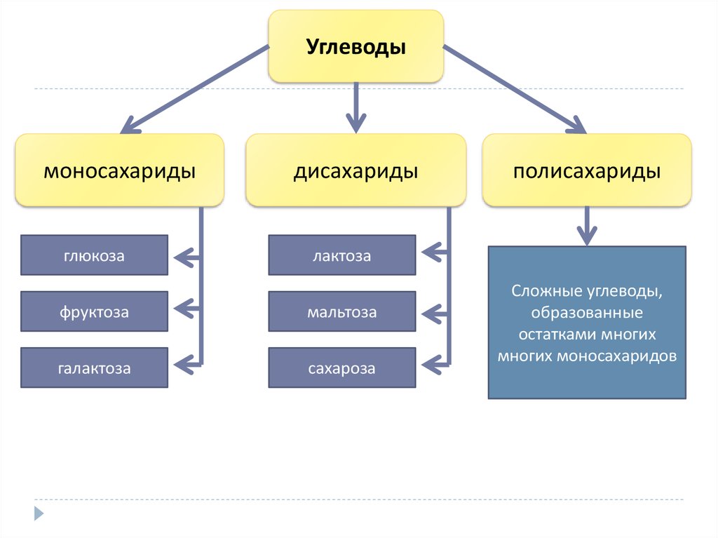 Углеводы выполняют