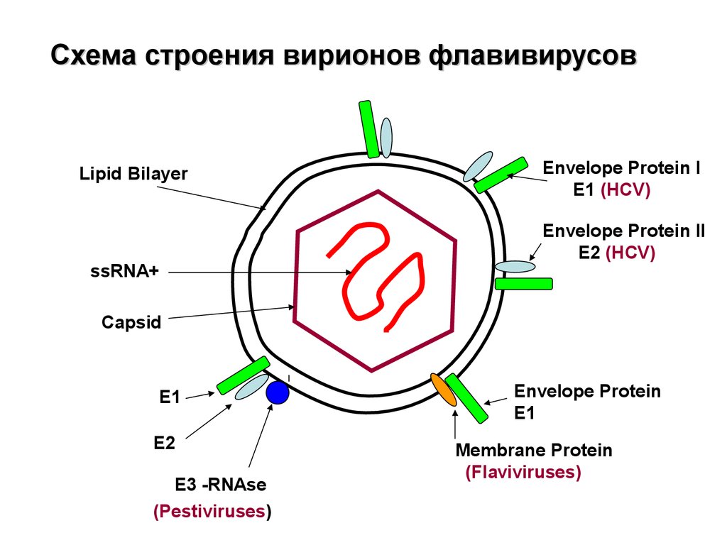 Неон схема строения