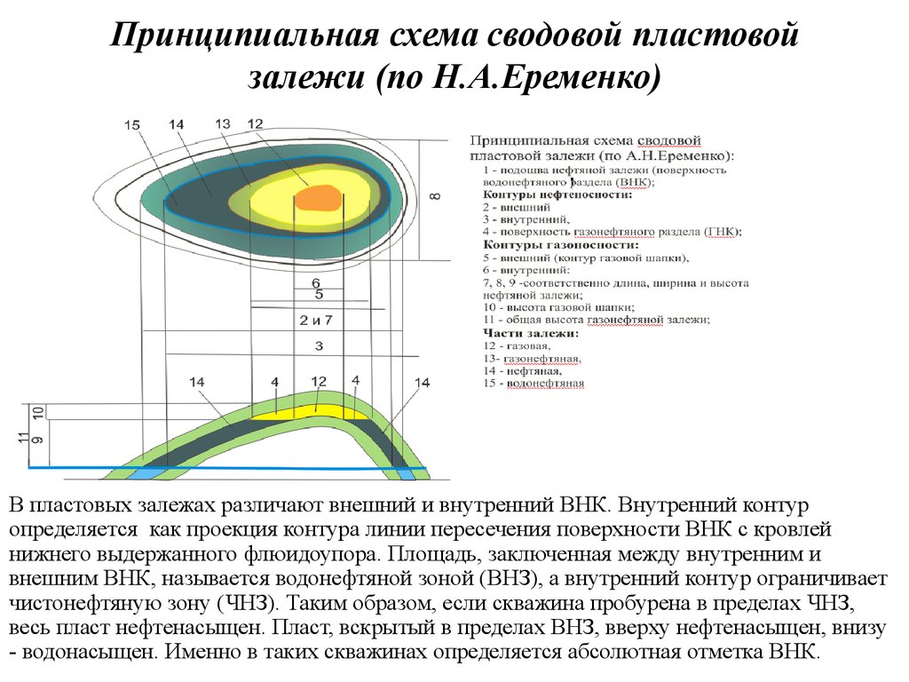 Принципиальная схема сводовой пластовой залежи (по Н.А.Еременко)