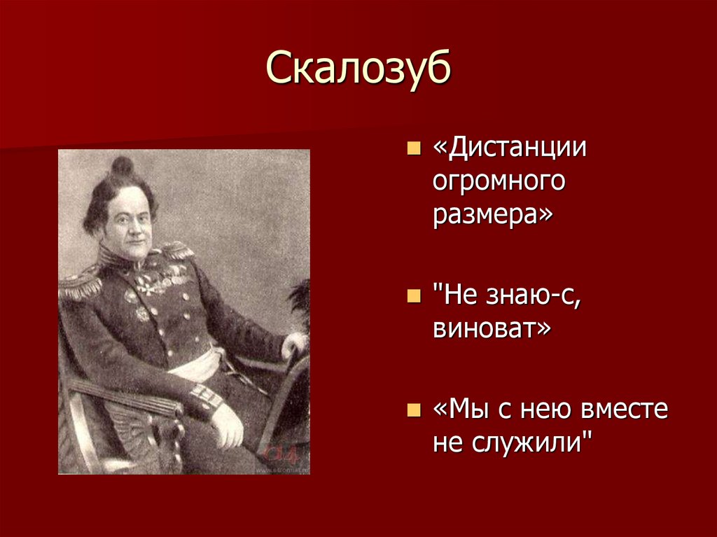 3 скалозуб