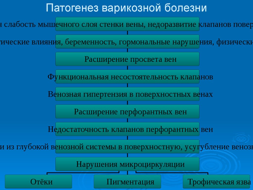 Патогенез варикозной болезни. Варикозная болезнь нижних конечностей патогенез. Варикозная болезнь вен нижних конечностей классификация патогенез. Варикозная болезнь этиология патогенез. Варикозная болезнь нижних конечностей этиология и патогенез.