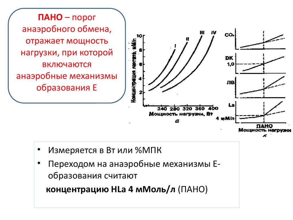 Порог анаэробного обмена пано