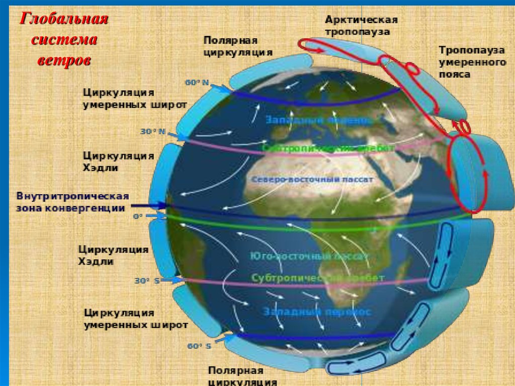 Какие ветры господствуют. Глобальные ветра. Глобальные ветры схема. Система постоянных ветров. Постоянные ветра на карте мира.