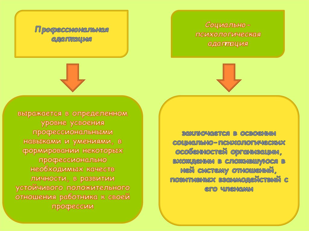 Профессиональный отбор и профессиональная адаптация. Постоянная и непостоянная степень овладения.