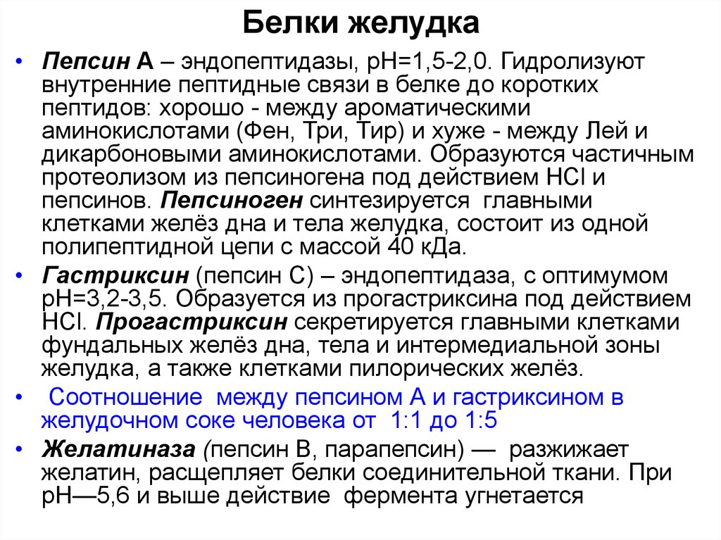 Почему пепсин может работать в желудке. Желатиназа это фермент. Белок пепсин функция. Желатиназа биохимия. Пепсин функция.