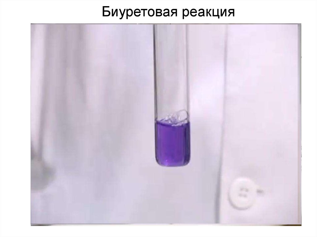 Реакция в пробирке 10. Биуретовая реакция яичного белка. Биуретовая реакция в пробирке. Реакция Пиотровского биуретовая реакция. Качественная реакция на белок биуретовая реакция.