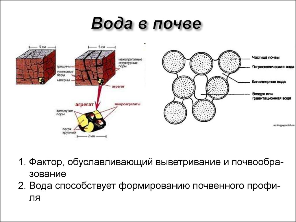 Связанная вода в почве. Воздушный режим почвы. Формы воды в почве. Водно-воздушный режим почвы. Воздушные свойства почвы.