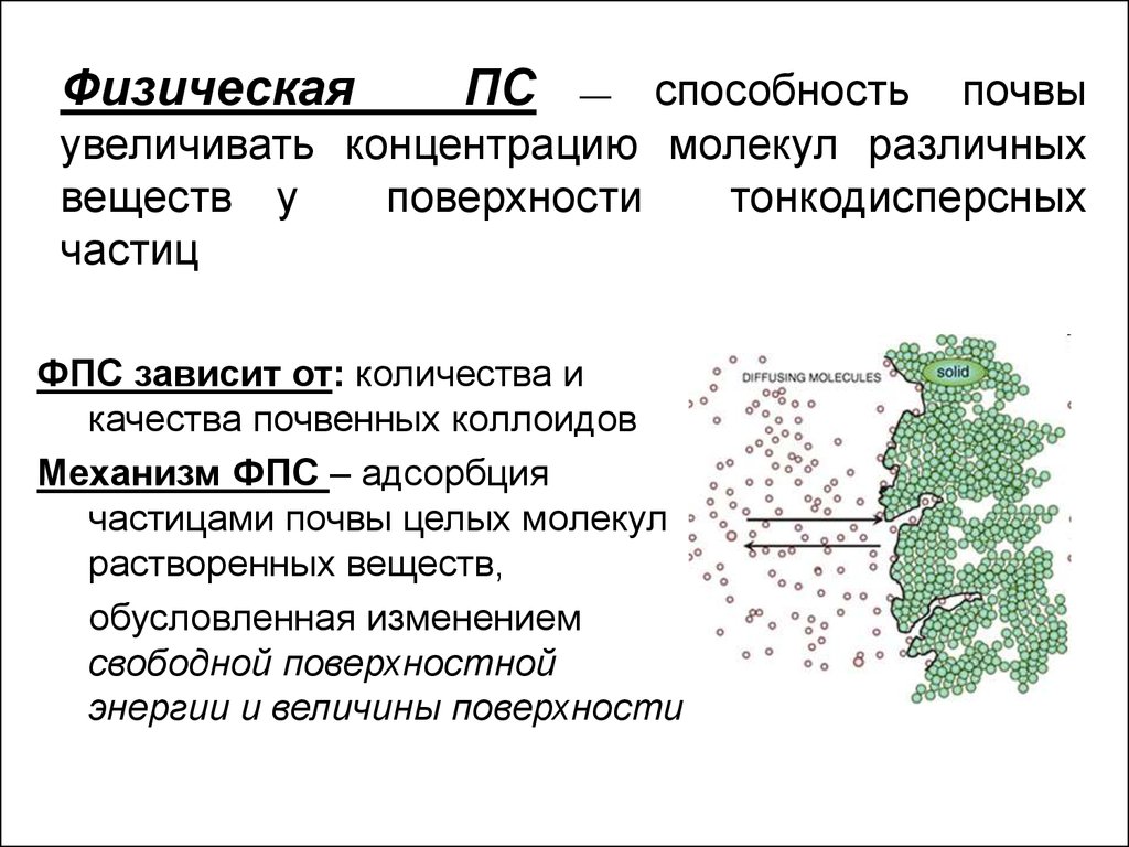 Реферат: Поглотительная способность и кислотность почвы