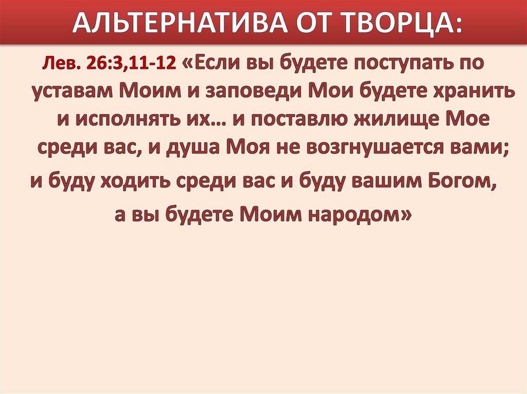 АЛЬТЕРНАТИВА ОТ ТВОРЦА: