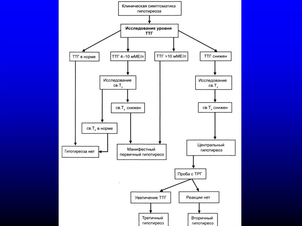 Жалобы при гипотиреозе. Схема лечения гипотиреоза. Алгоритм диагностики гипотиреоза схема. Гипотиреоз показатели ТТГ. Этапы последовательности развития гипотиреоза.