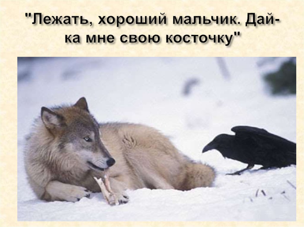 "Лежать, хороший мальчик. Дай-ка мне свою косточку"