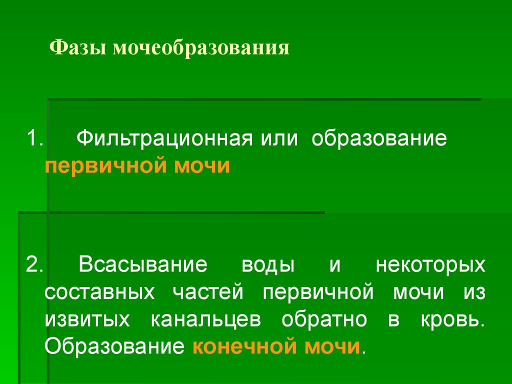 Конечное образование. Фазы мочеобразования. Первая фаза мочеобразования. Процесс мочеобразования состоит из фаз. Стадии мочеобразования.