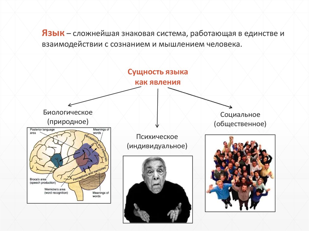 Сущность основа явления. Сущность языка. Природа и сущность языка. Сущность языка Языкознание. Социальная природа и сущность языка.