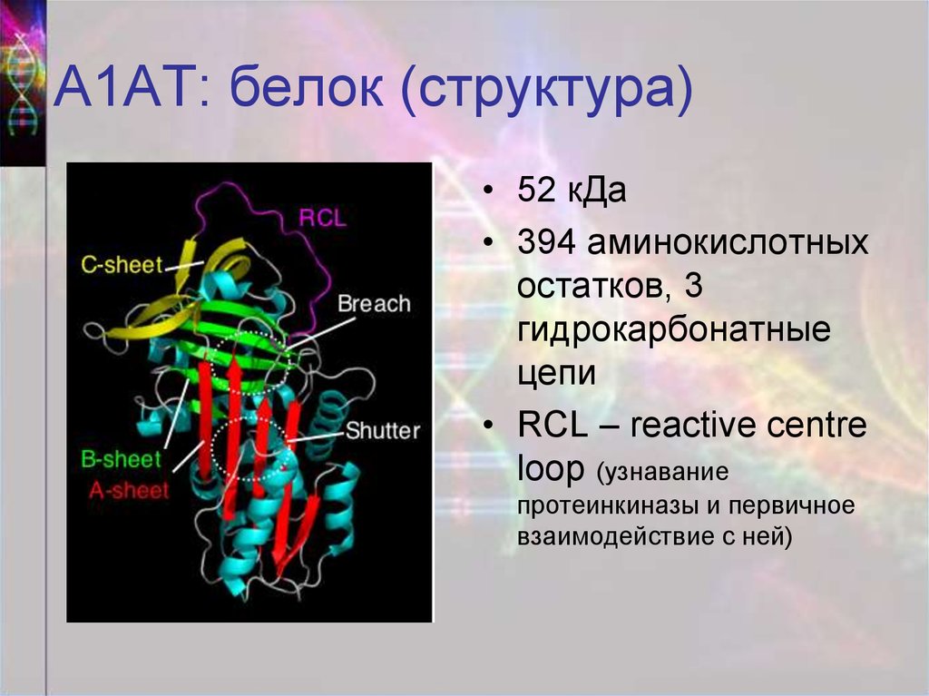 Альфа 1