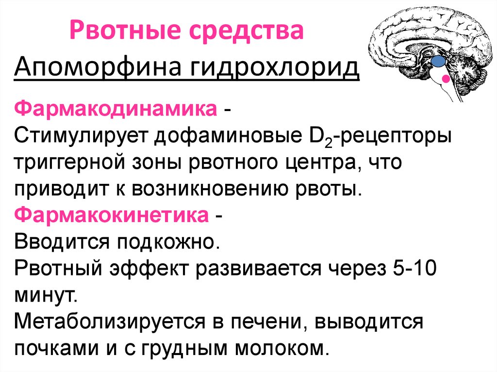 Рвотные средства. Рвотные лекарственные препараты. Рвотные и противорвотные средства. Триггерная зона рвотного центра рецепторы.