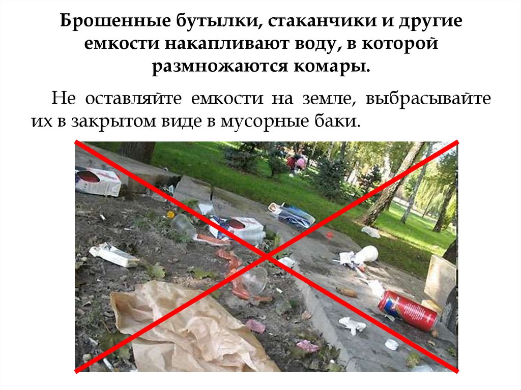 Брошенные бутылки, стаканчики и другие емкости накапливают воду, в которой размножаются комары.