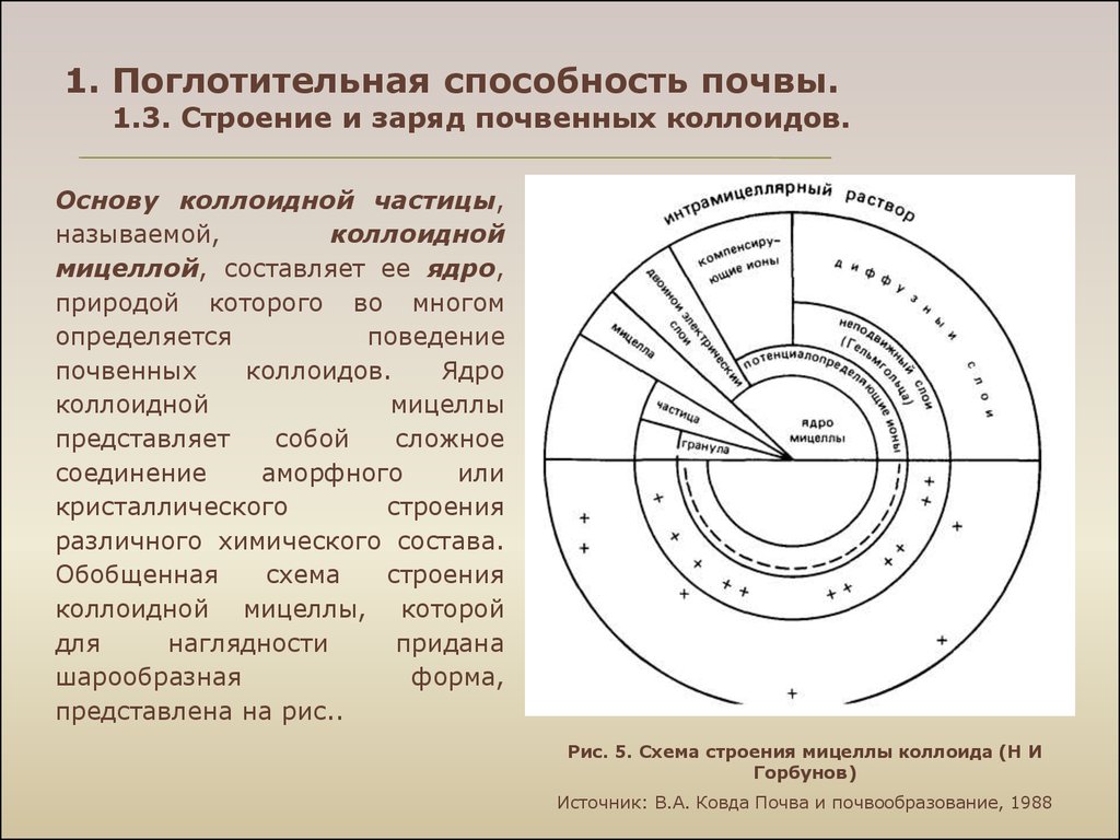 Поглотительная способность почвы презентация