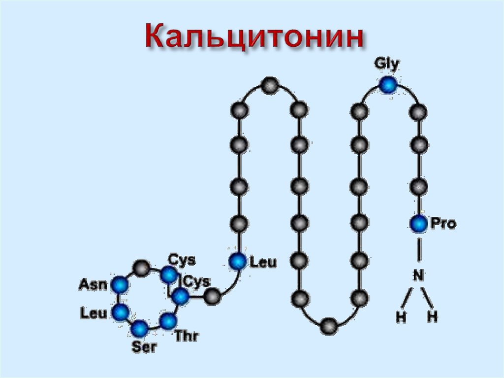 Кальцитонин это. Кальцитонин гормон структура. Химическое строение кальцитонина. Тиреокальцитонин формула структурная формула. Кальцитонин строение молекулы.