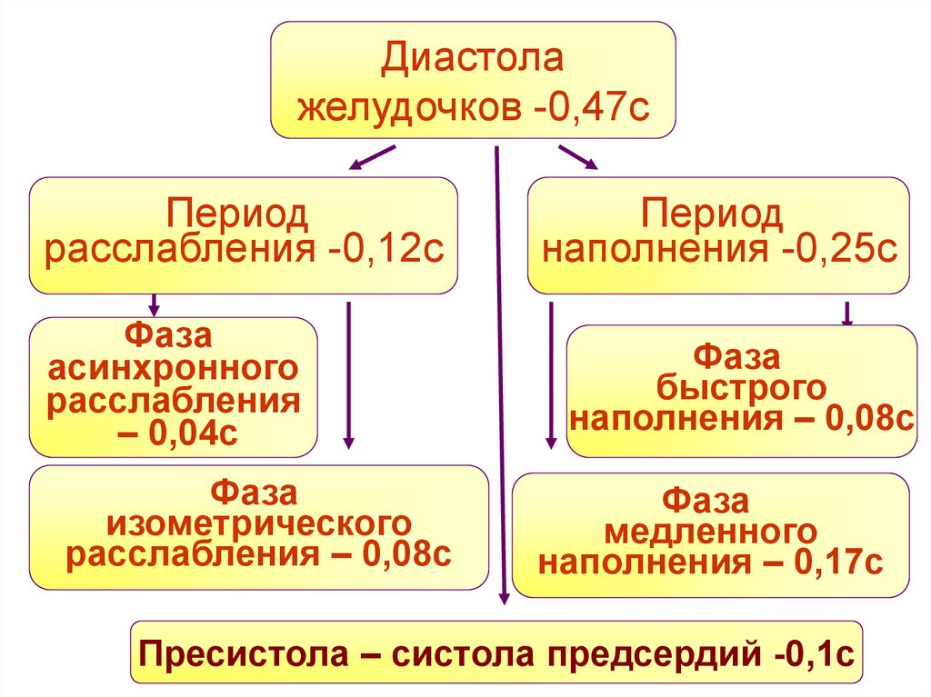 Диастола. Диастола желудочков. Периоды и фазы диастолы желудочков. Назовите периоды и фазы диастолы желудочков. Период изометрического расслабления диастолы желудочков.