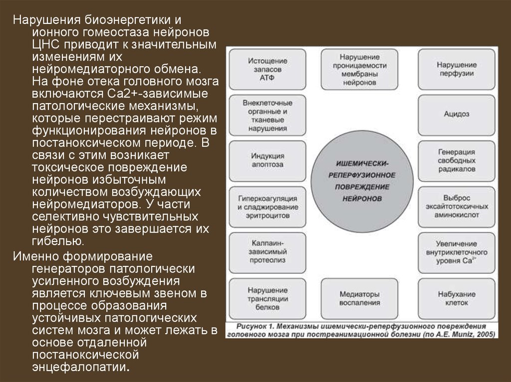 Постреанимационная болезнь презентация