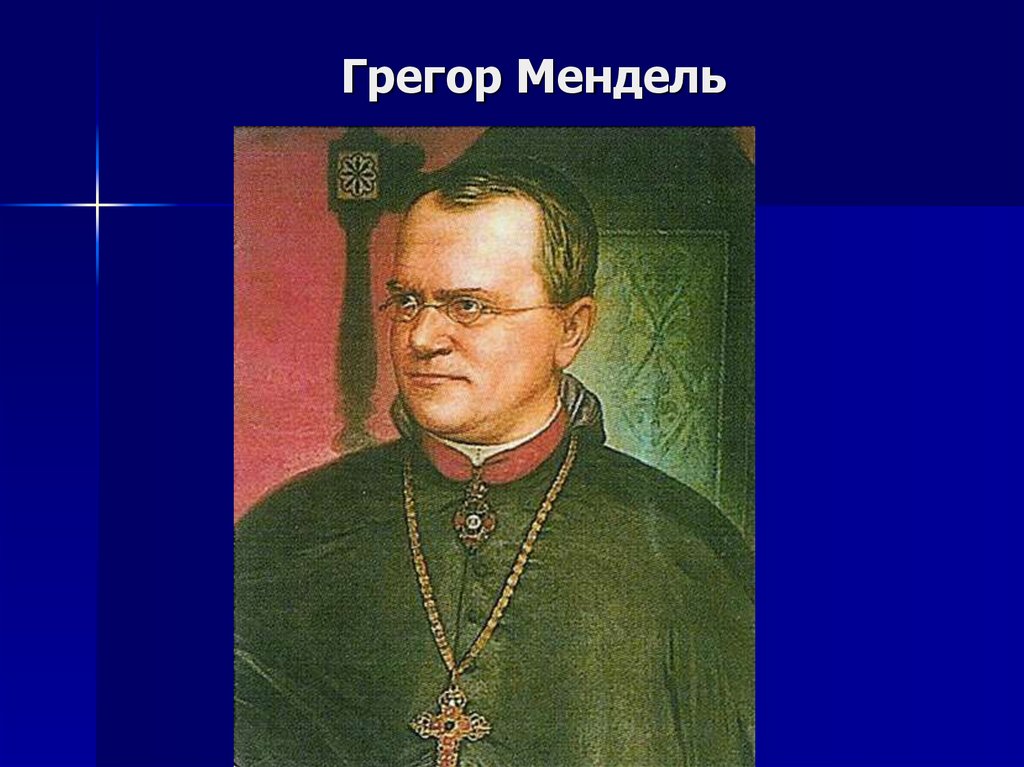 Мендель биология. Теория Грегора Менделя. Заслуги Грегора Менделя. Аббатский герб Грегора Менделя. Грегор Мендель окмушту.