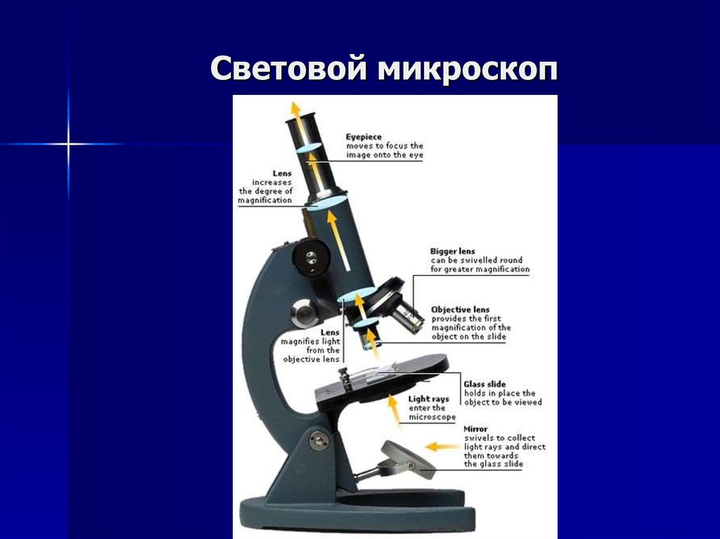 Характеристика изображения в микроскопе