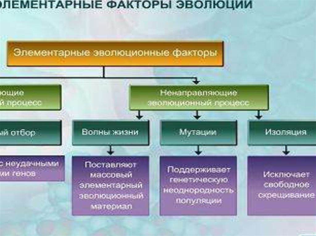 Концепция биологической эволюции. Биологическая концепция. Основные концепции в биологии развития.