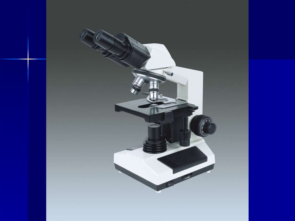 Лабораторная по биологии микроскоп. Микроскоп биология. Микроскоп биологический демонстрационный. Метод биологии микроскоп. Элементы микроскопа биология.