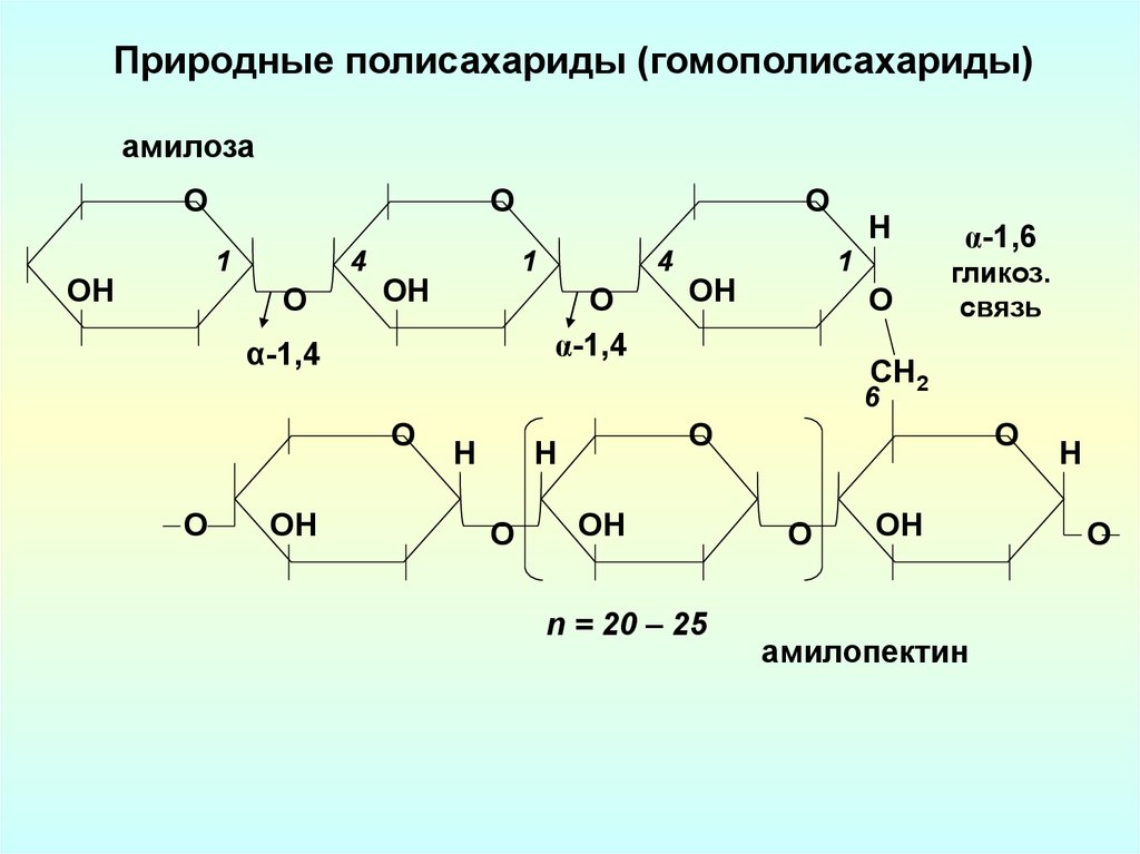 Полный гидролиз полисахаридов. Амилоза полисахарид. Полисахариды гомополисахариды. Полисахариды и дисахариды проект. Гомополисахаридов · крахмал, · гликоген, · Целлюлоза.