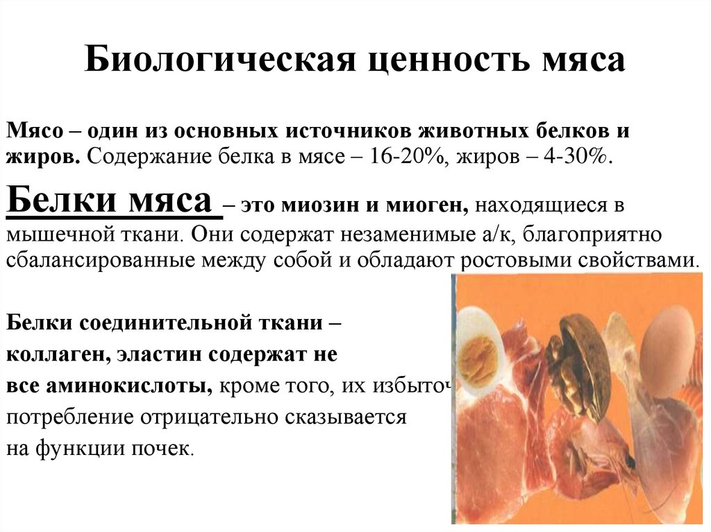 Содержание мяса. Пищевая и биологическая ценность мяса и мясных продуктов. Пищевая и биологическая ценность мяса и мясопродуктов. Биологическая и пищевая ценность мясных продуктов. Биологическая ценность мясных продуктов.