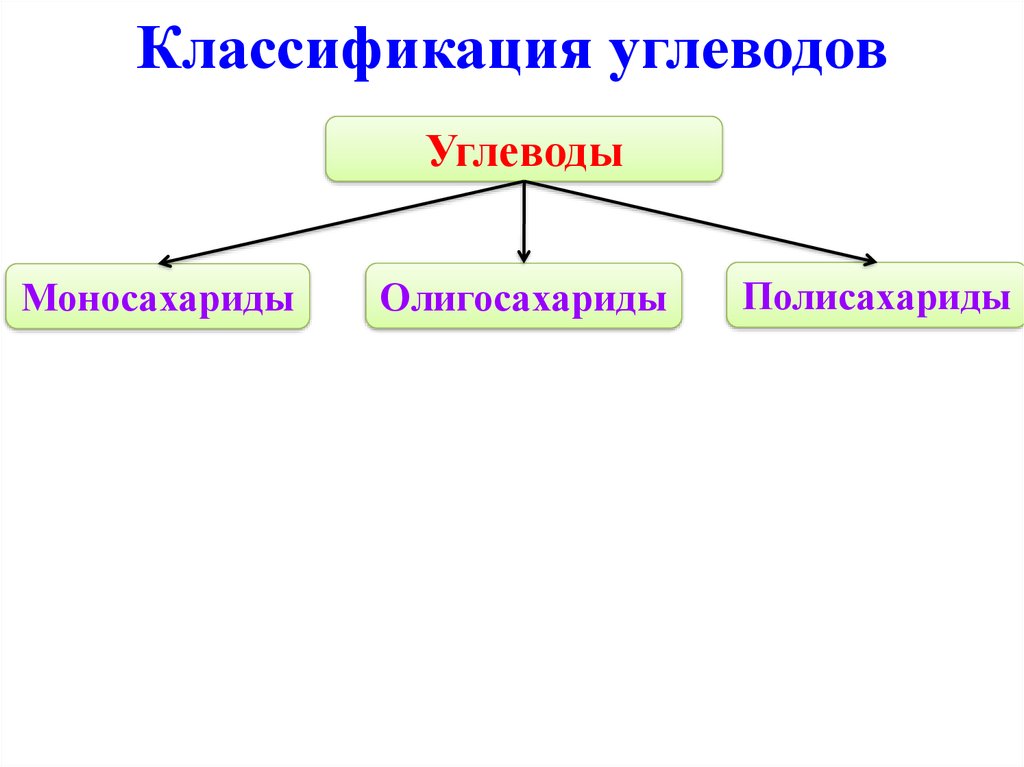 Схема 14 классификация углеводов