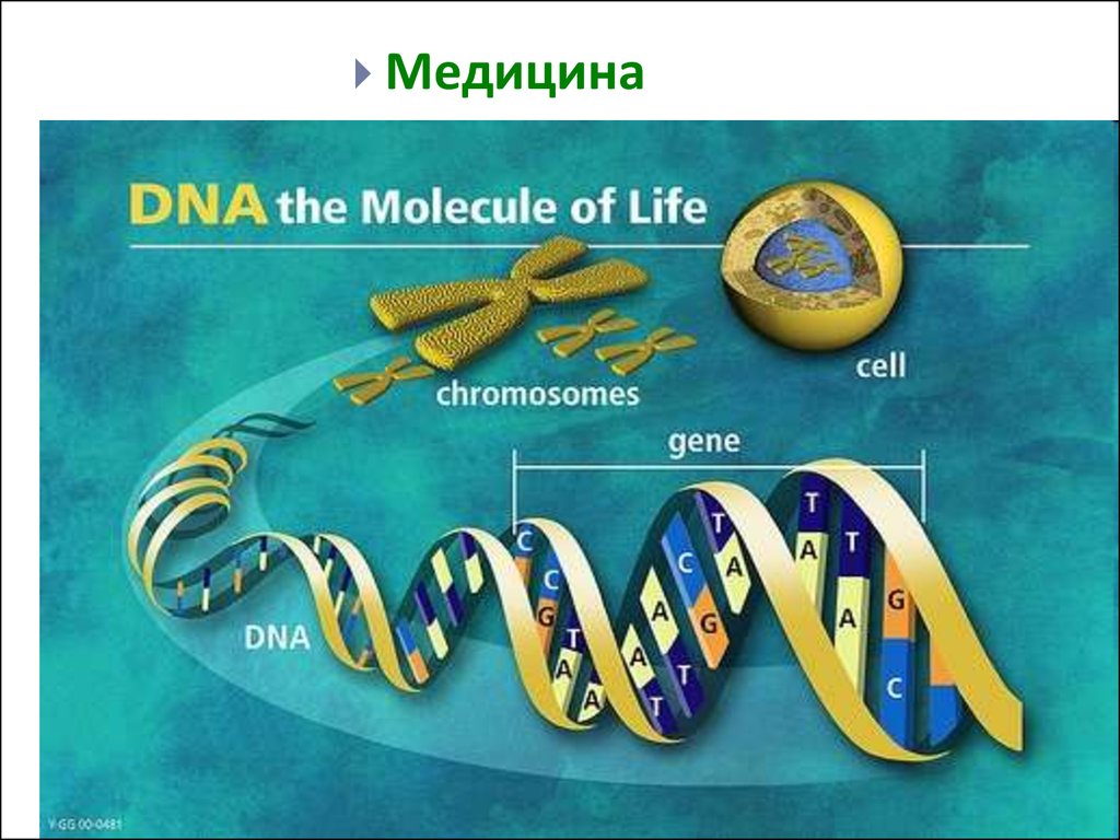 Молекулярная биология картинки