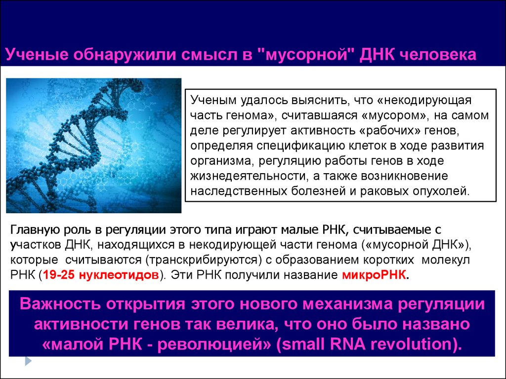 Ген биология 9. Молекулярная биология Гена. Мусорная ДНК человека. Уровни организации генома человека. Некодирующие части ДНК.