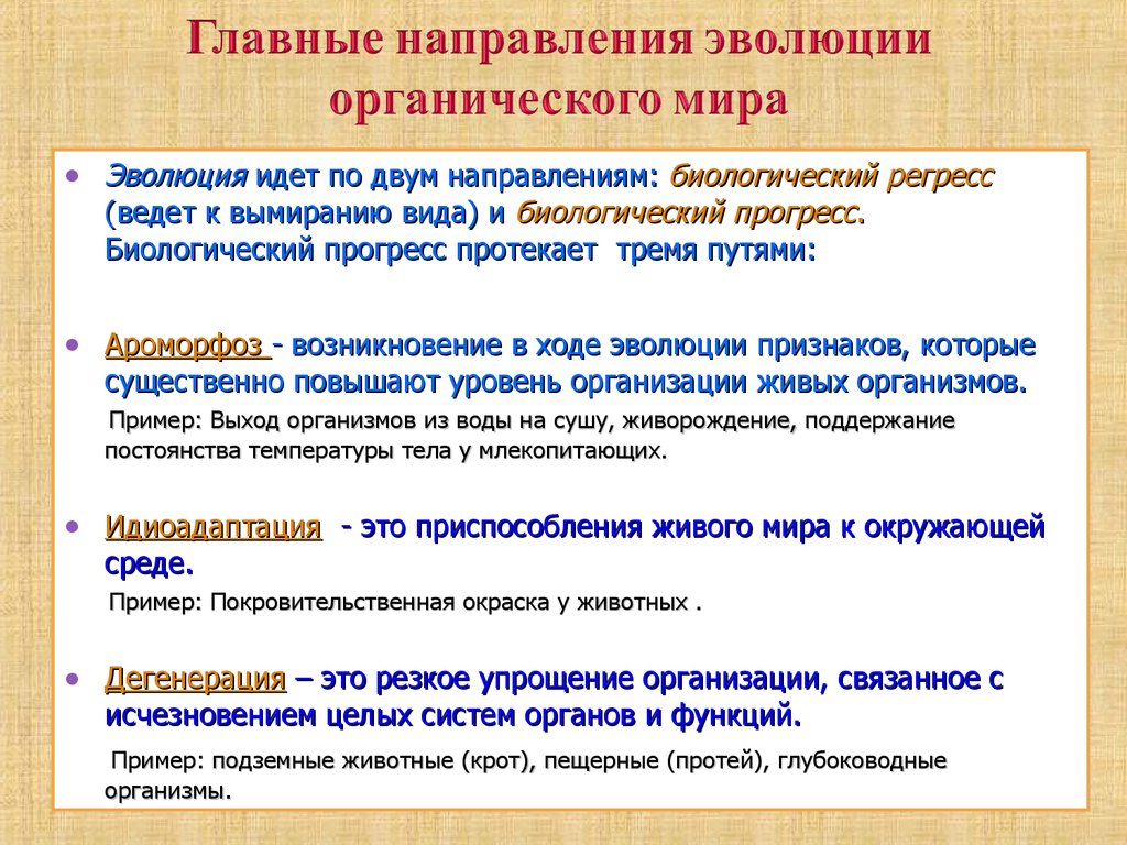 Основные этапы эволюции органического мира на земле презентация 11 класс