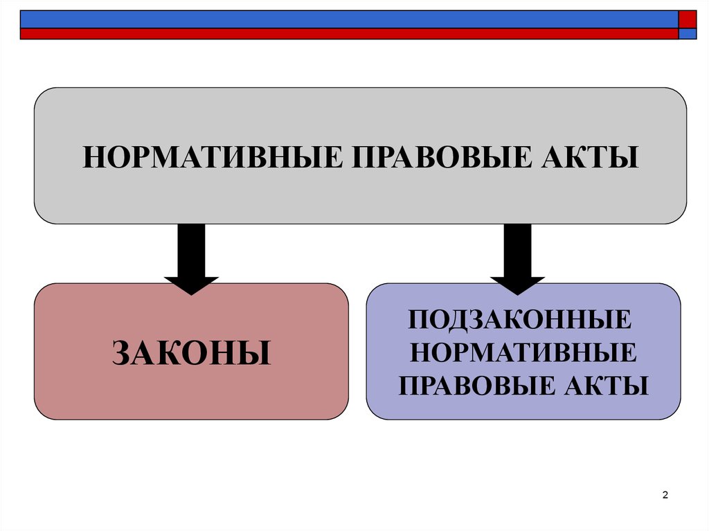 Подзаконные нормативные акты презентация