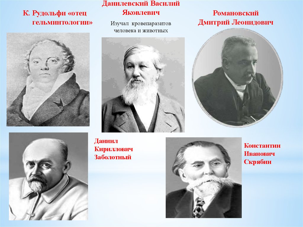 Вклад ученых. Василий Яковлевич Данилевский. «Вклад ученых в развитие биологии» Роберт Кох. Данилевский вклад в паразитологию. Заболотный Даниил Кириллович паразитология.