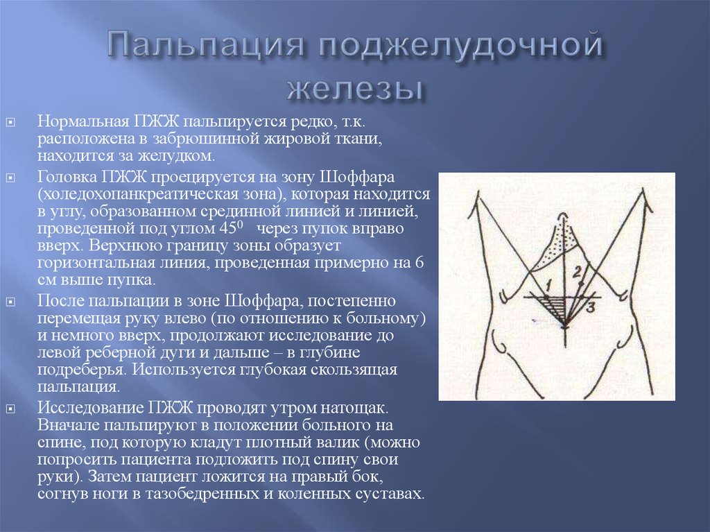 Пальпировать. Зона Шоффара треугольник. Методика пальпации по гроту. Пальпация поджелудочной железы. Методика пальпации поджелудочной железы.