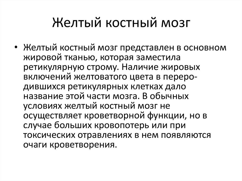 Функция красного мозга. Желтый костный мозг функции. Какие функции выполняет жёлтый костный мозг?. Функции красного и желтого костного мозга. Желтый костный мозг функции кратко.