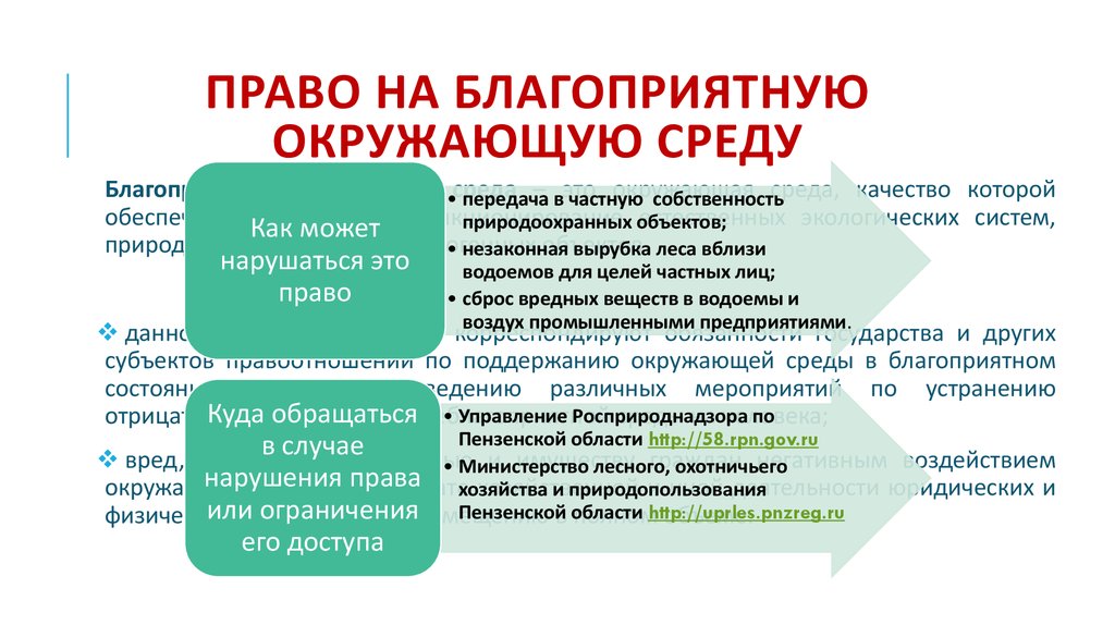 Составьте рассказ о реализации вами права на образование используя следующий план на каком уровне