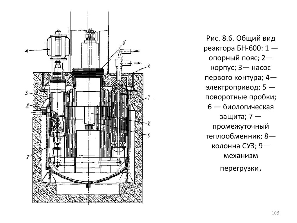   Рис. 8.6. Общий вид реактора БН-600: 1 — опорный пояс; 2— корпус; 3— насос первого контура; 4— электропривод; 5 — поворотные пробки; 6 — биологич