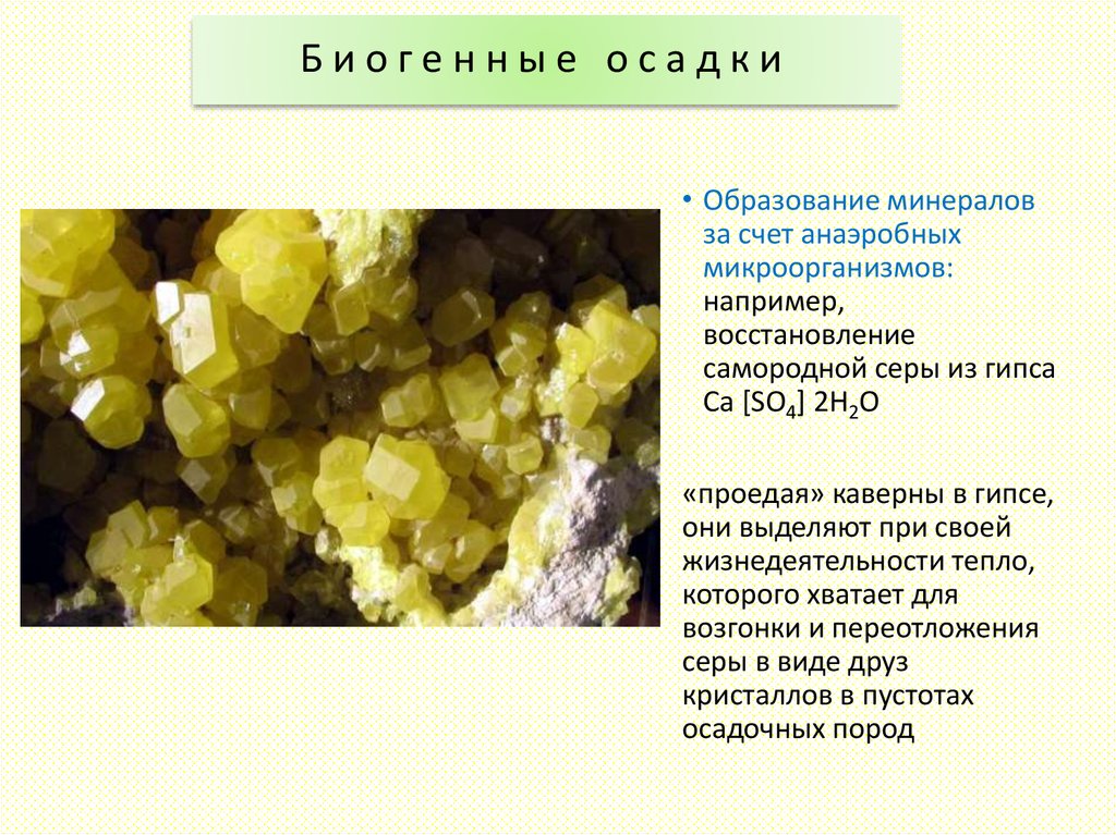 Минеральное образование. Образование минералов. Процессы образования минералов в природе. Биогенные минералы. Формирование минералов.